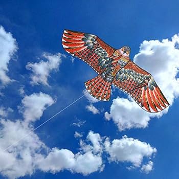 Amazon.co.jp: Sherry29 凧 カイト 鷹 鳥型凧 子ども 凧揚げ